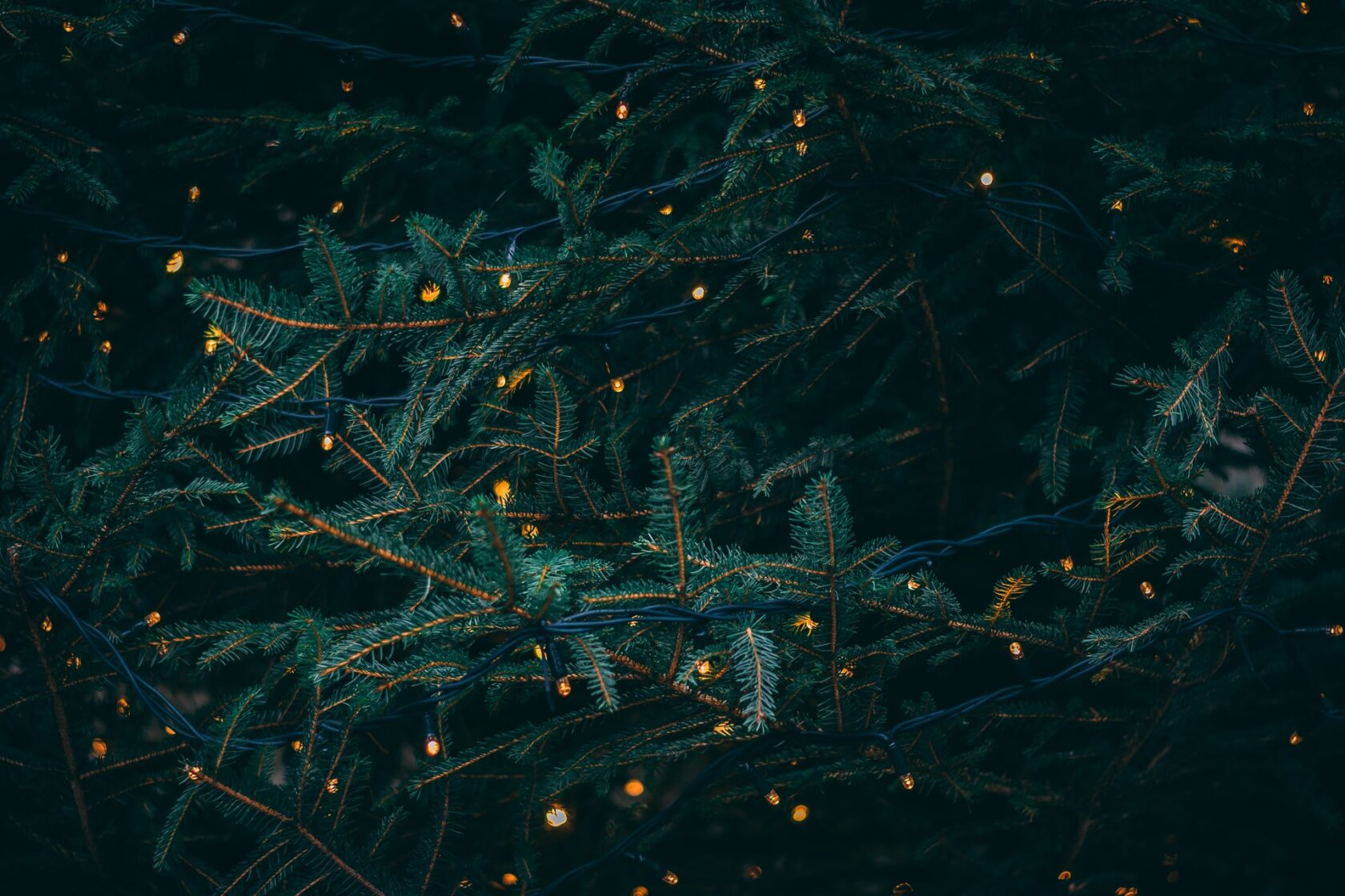 Christmas tree with fairy lights